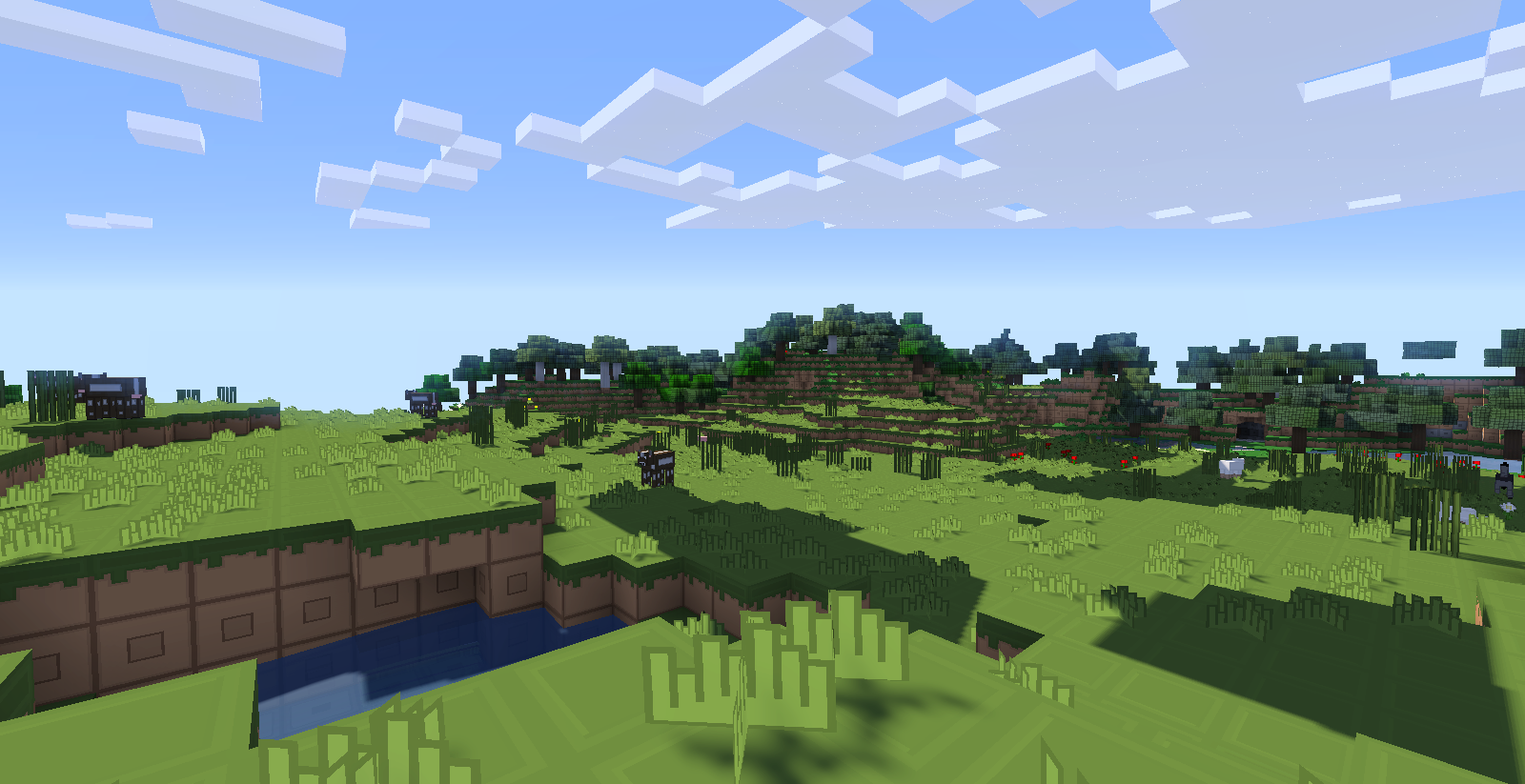 With shaders