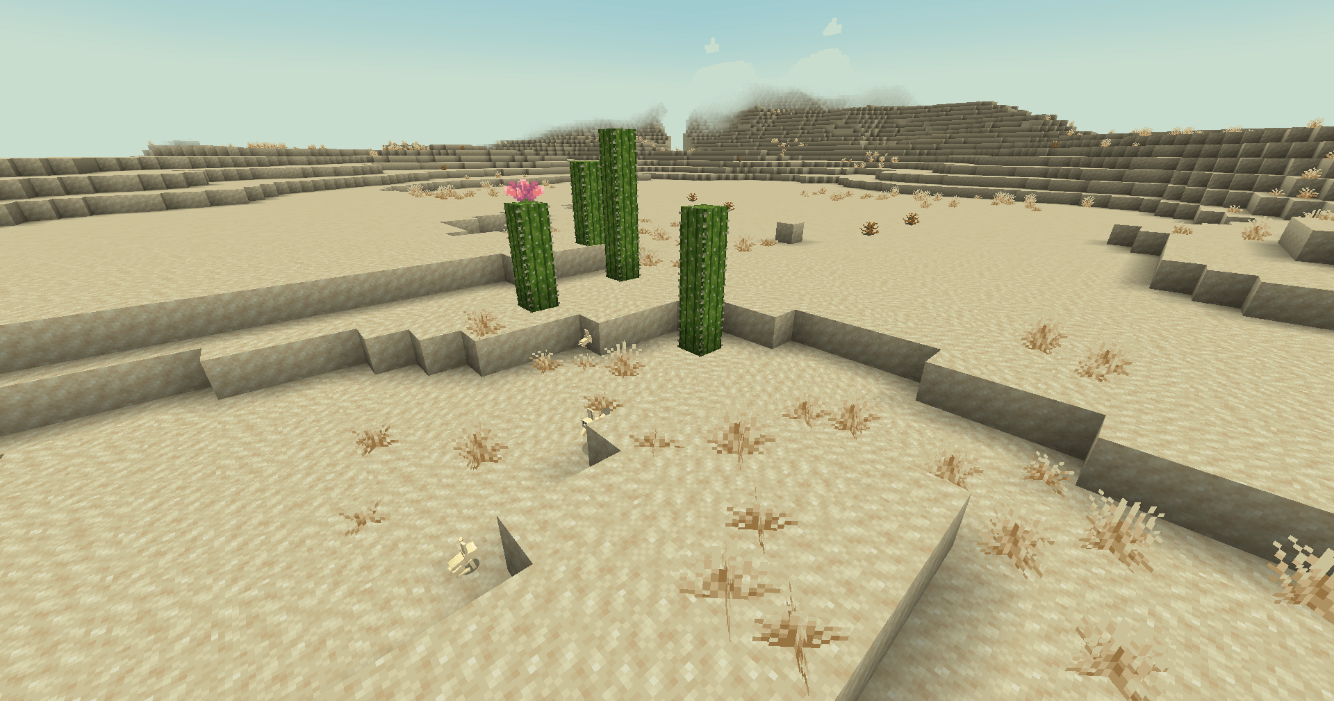 Sand was retextured! (Cactus/Cactus Flower from Freshly Floral)