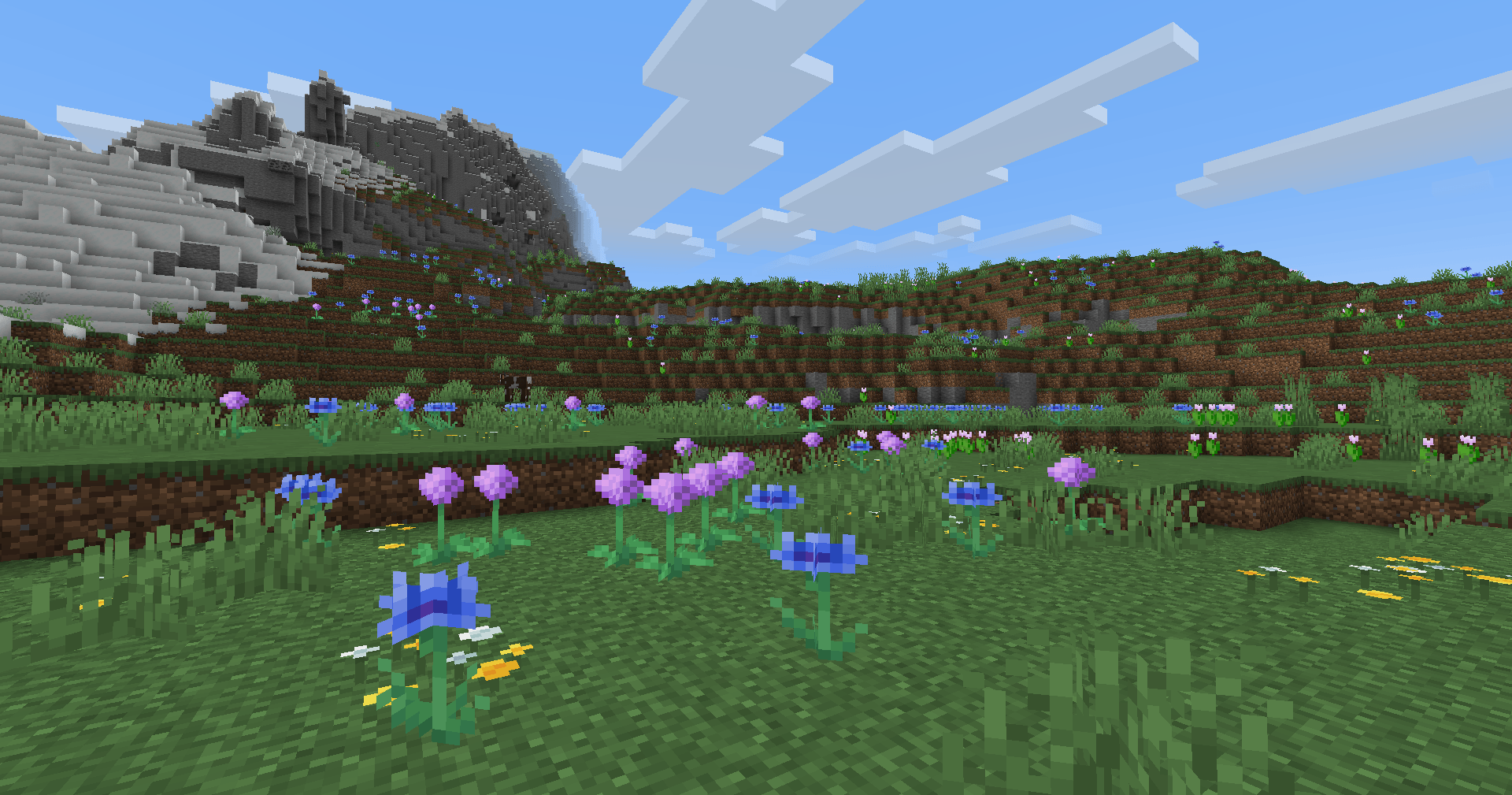 Meadow