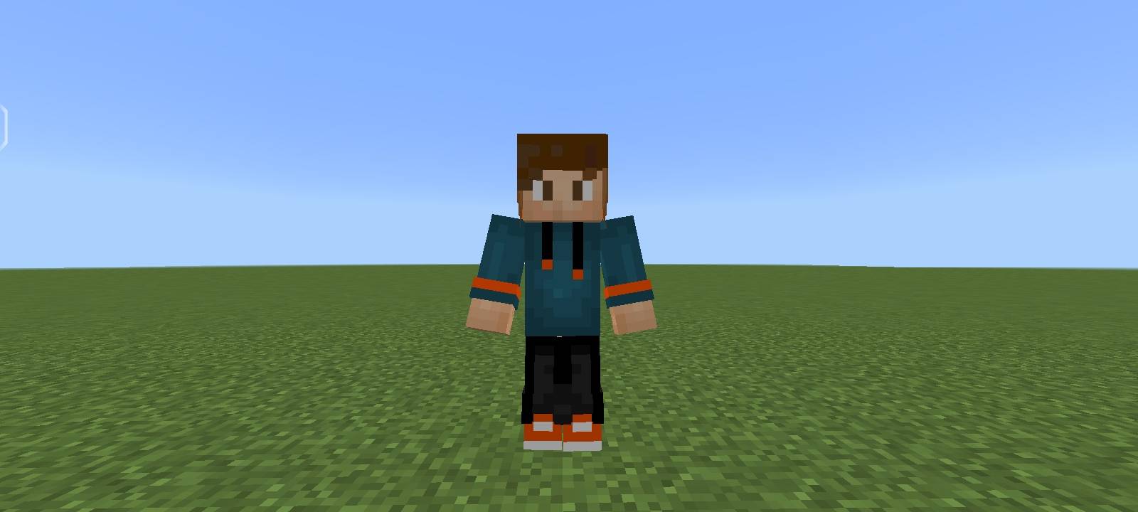 Custom Skin