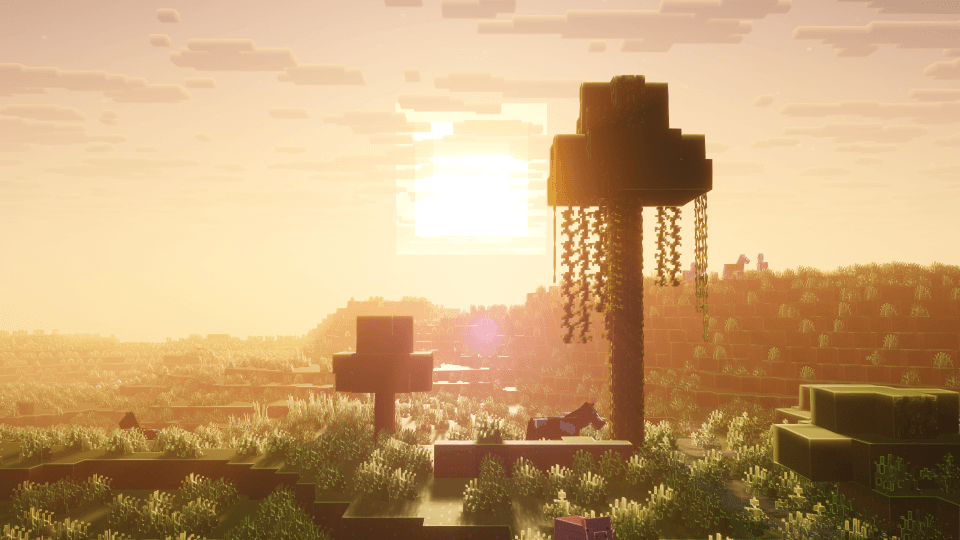 Thumbnail 2026-01-28_16.33.26 (Custom).png