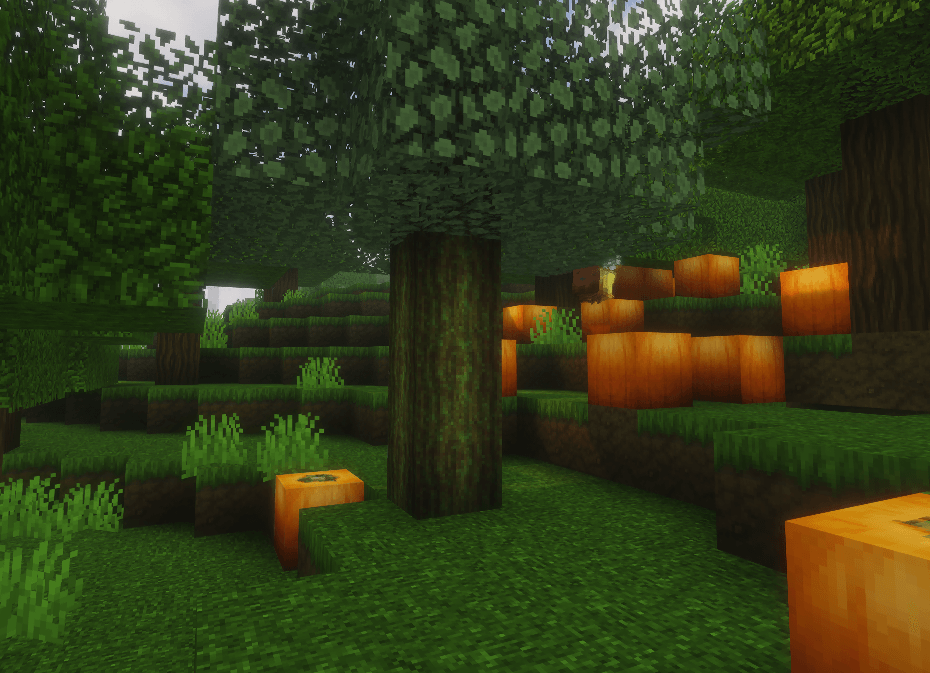 image (16).png