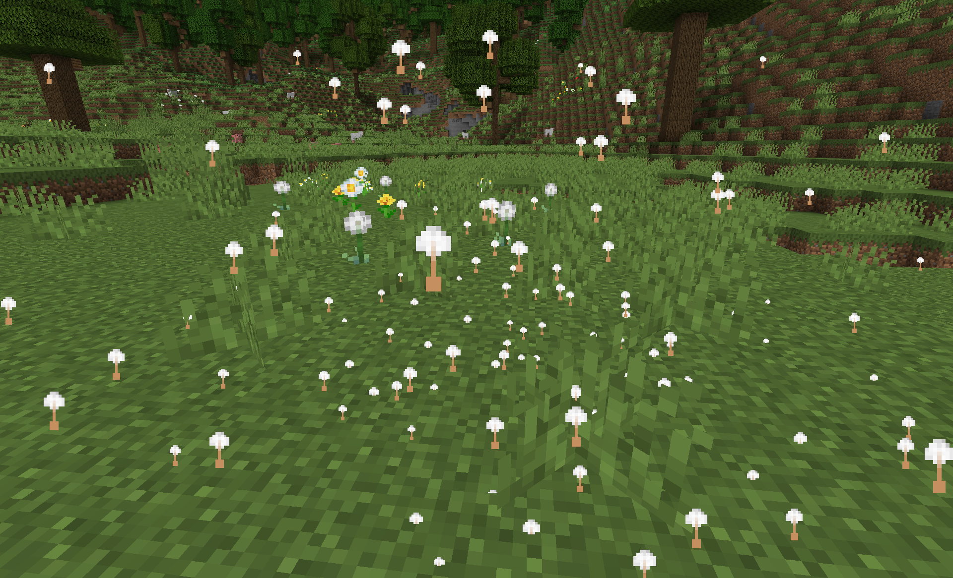 dandelion being blown