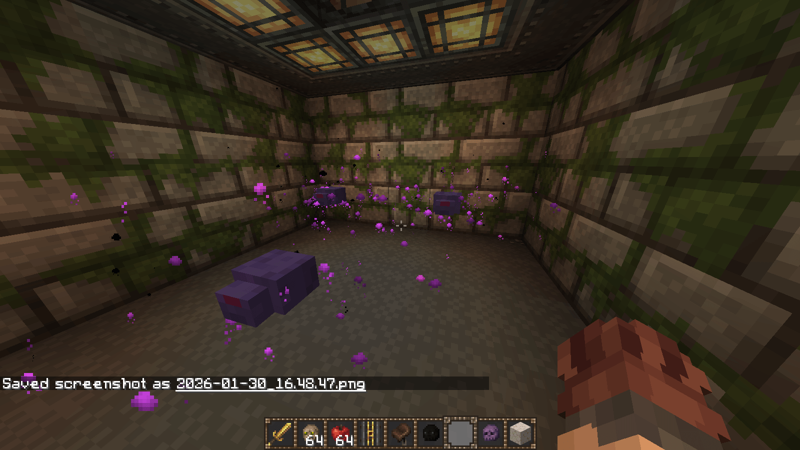 Thumbnail 2026-01-30_16.49.11.png