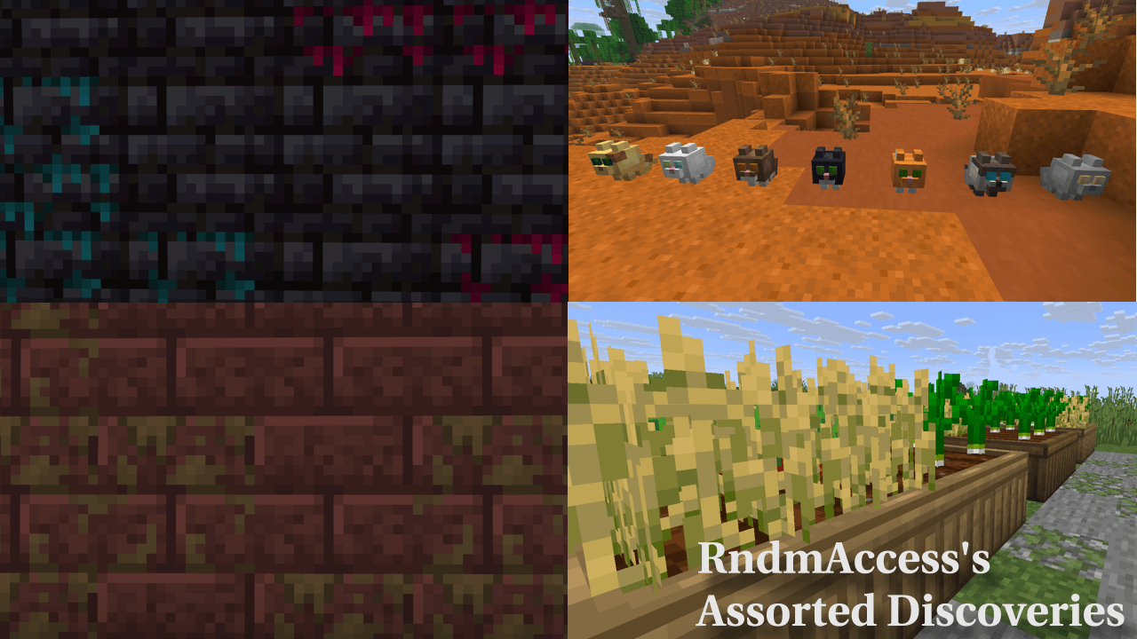 Branding 4.png