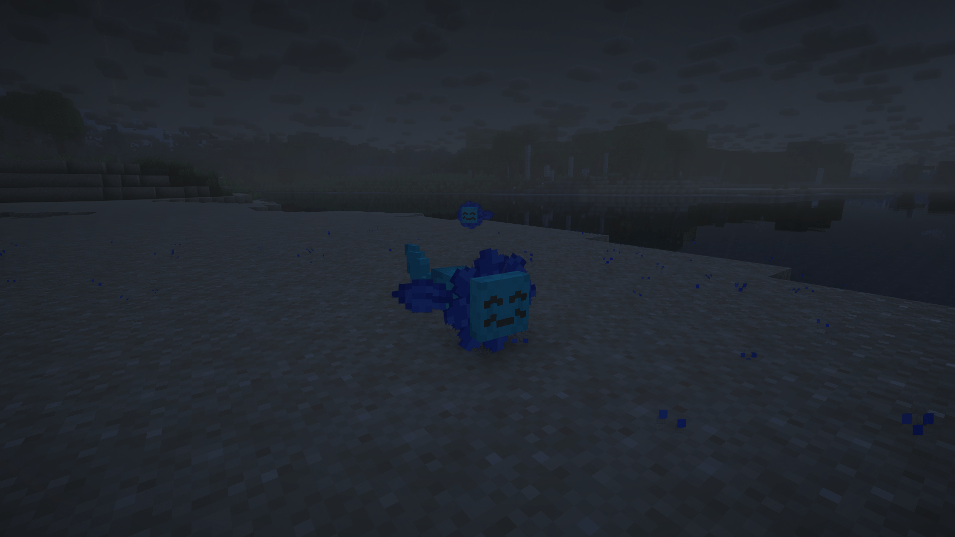 RLM Ocean Form