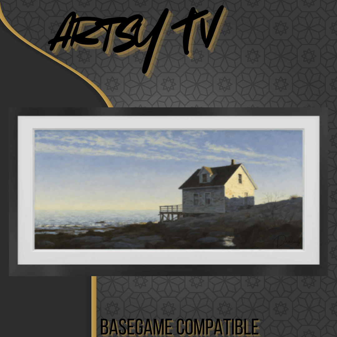 Danius artsy TV (15).png
