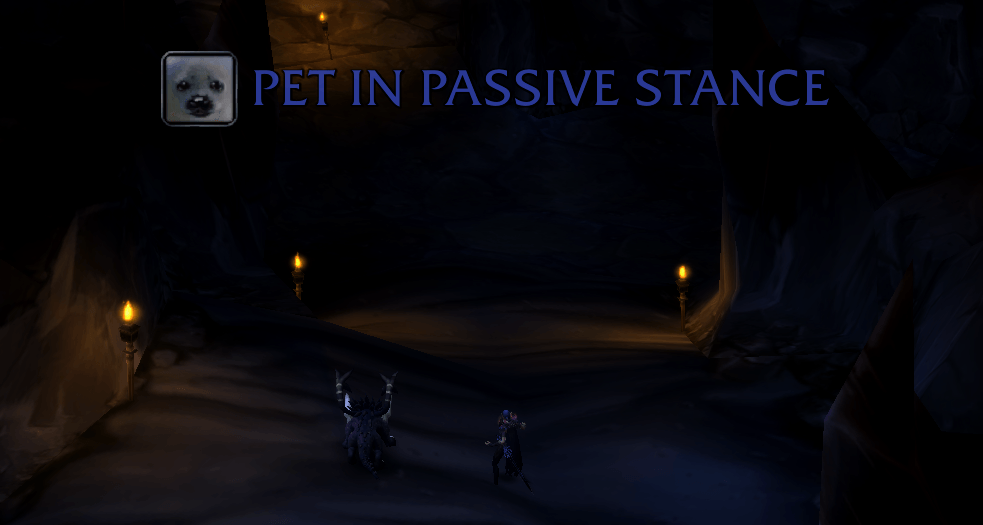 Pet passive warning