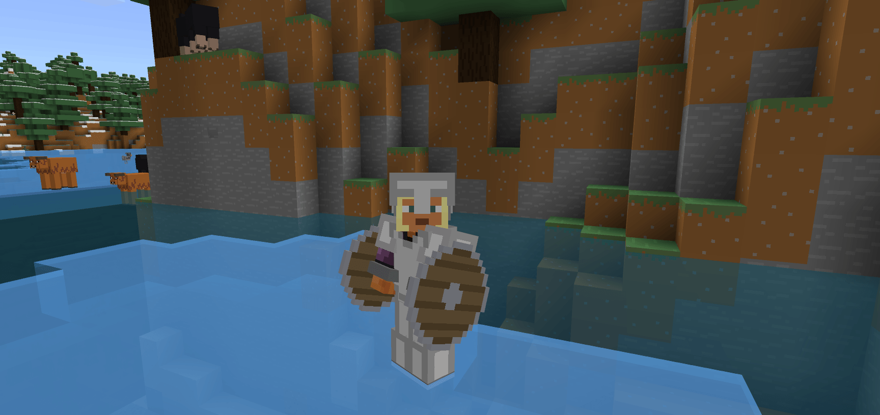Round Shield - Gallery - Minecraft Bedrock Texture Packs - CurseForge