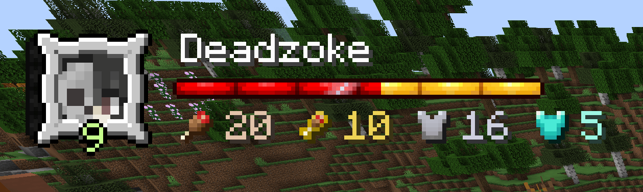 Player Widget