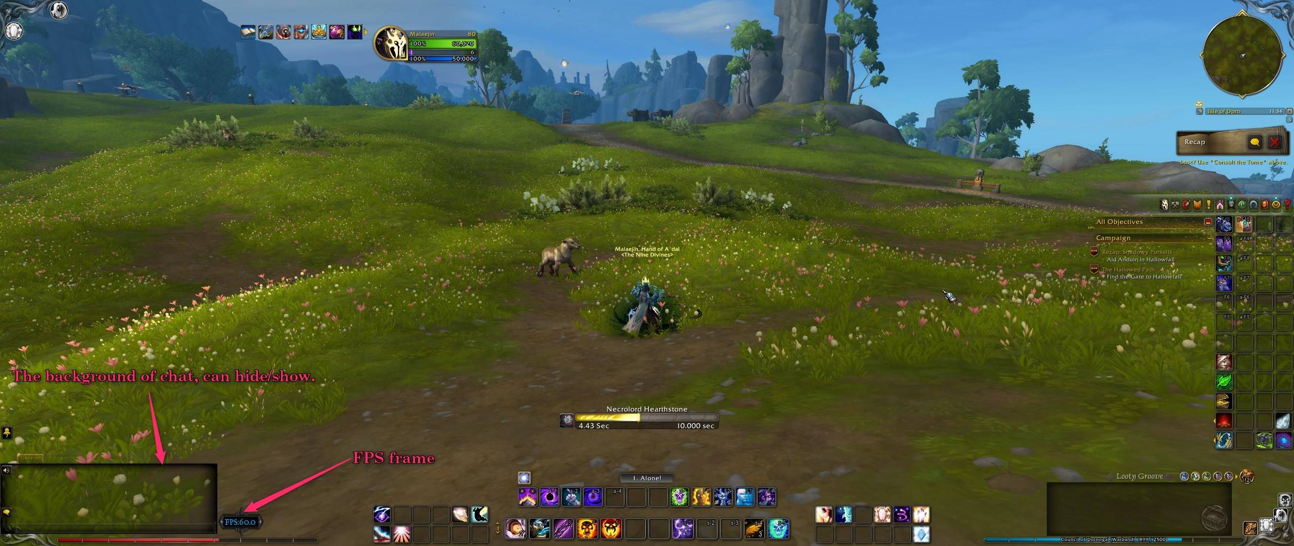 FPS frame and Chat.jpg