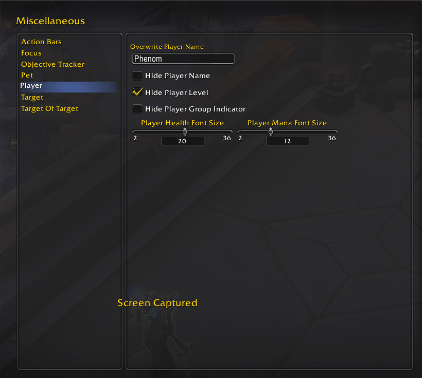 Thumbnail Shows what can be changed for the player frame
