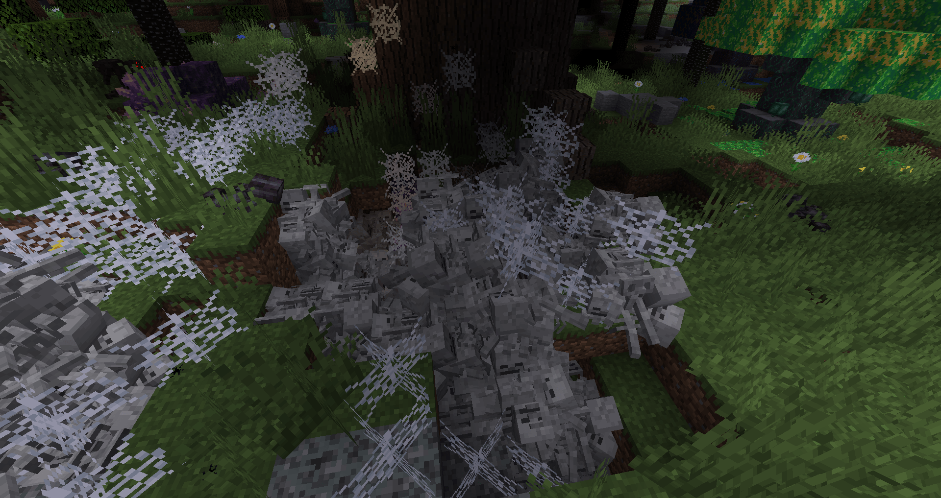 Thumbnail 2026-02-05_08.30.40.png