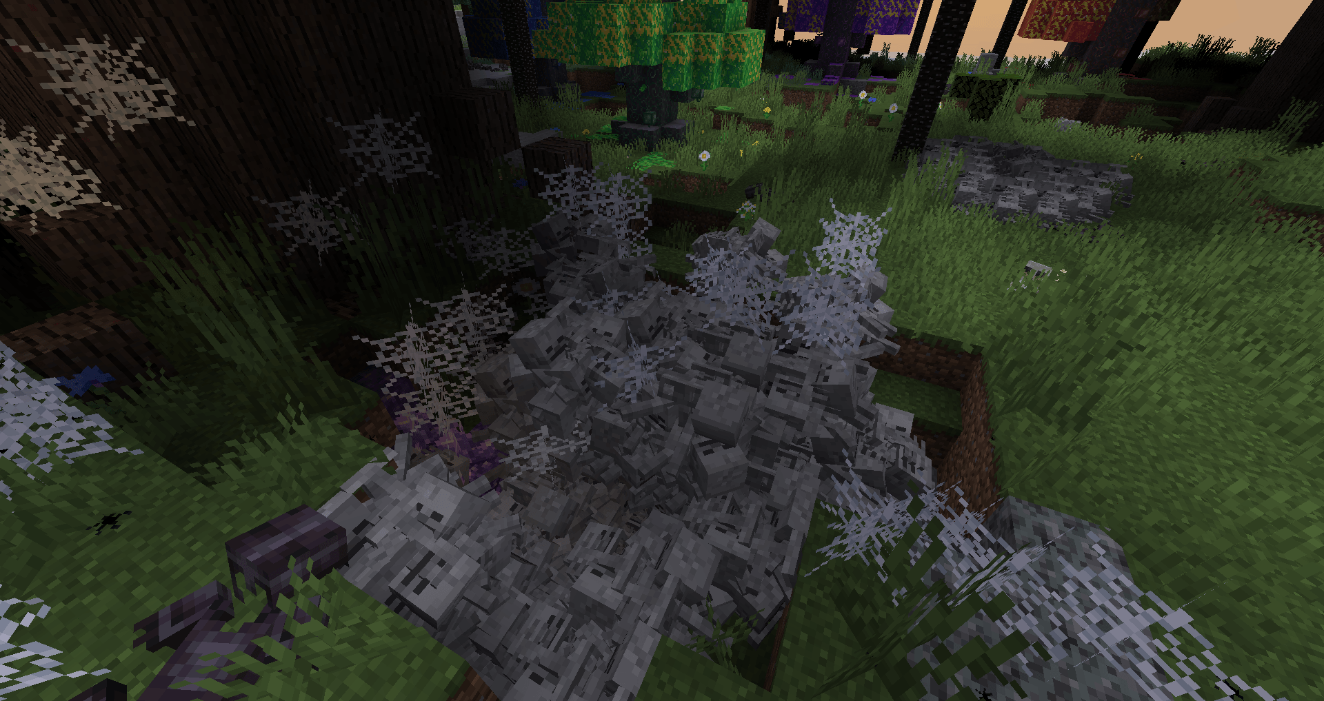 Thumbnail 2026-02-05_08.30.42.png