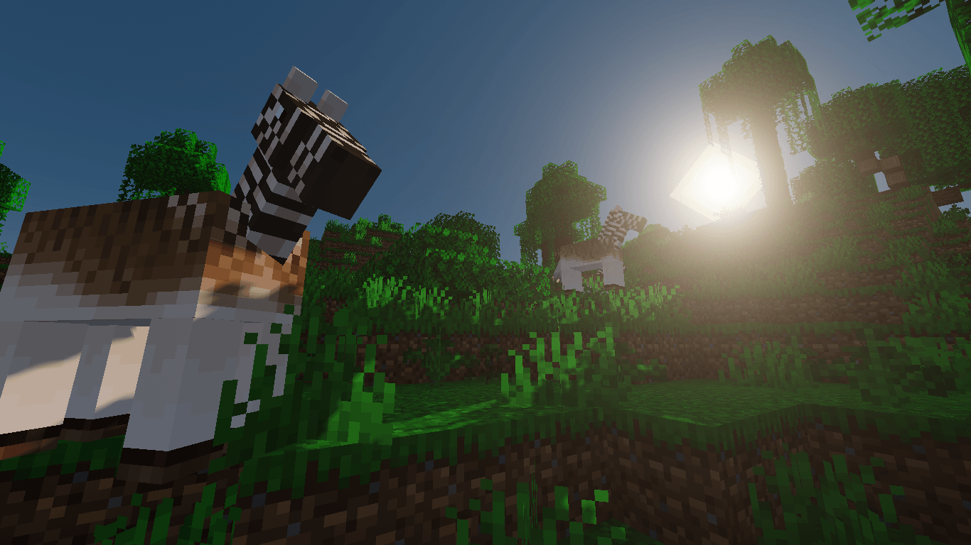Thumbnail 2026-02-05_20.52.22.png