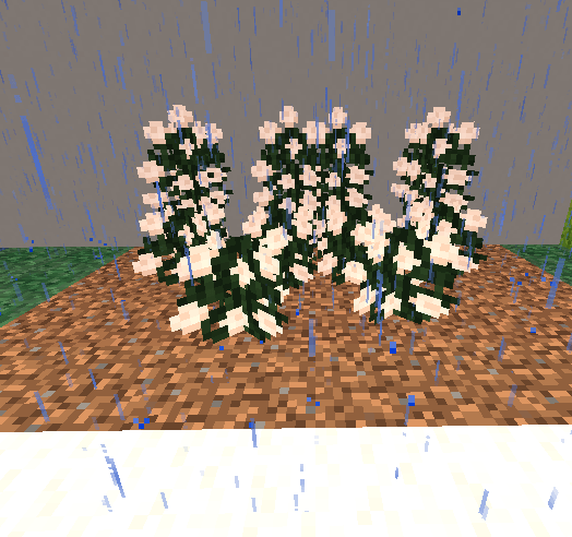 Thumbnail Multiflora Rose Screenshot 2026-02-04 221533.png