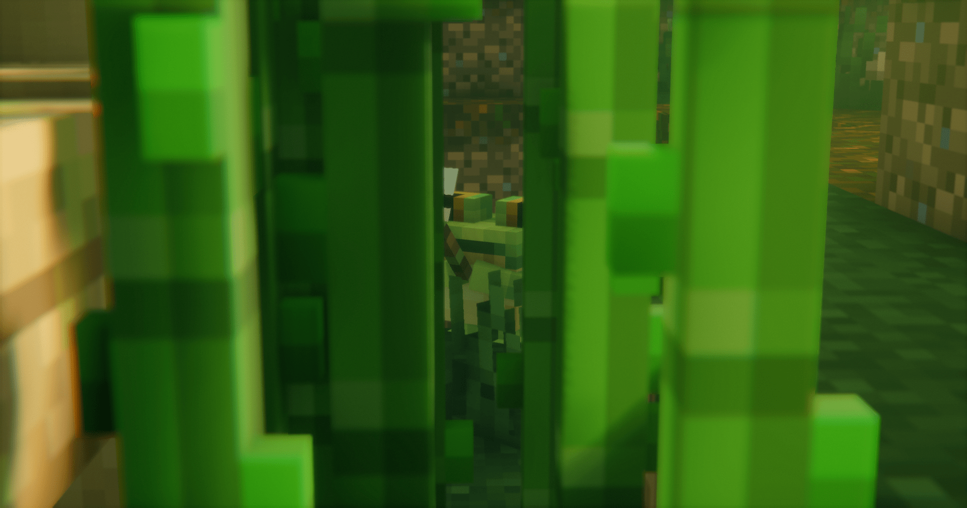 Fisherman Frog in Between Sugar Cane