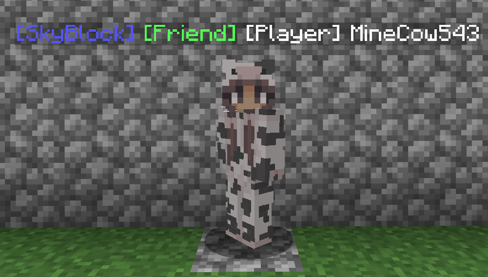 Hint: Shorten prefixes to reduce name tag length. E. g. SB for SkyBlock.
