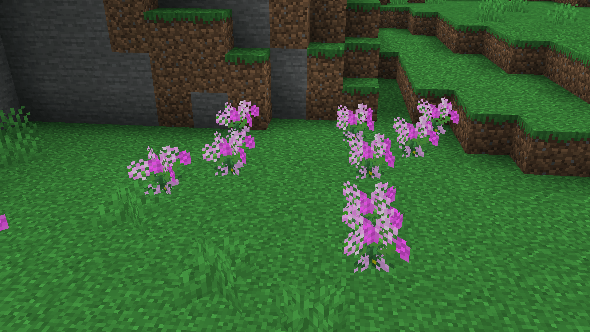 Thumbnail 2026-02-08_03.18.35.png