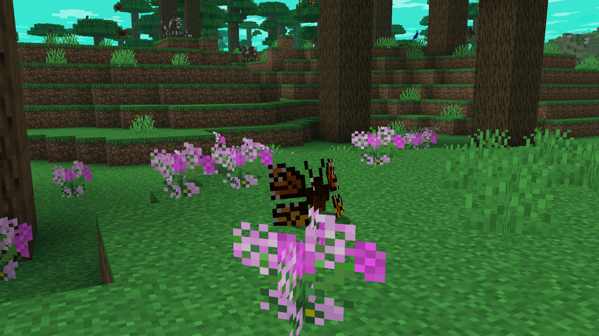 Thumbnail 2026-02-08_03.18.25.png