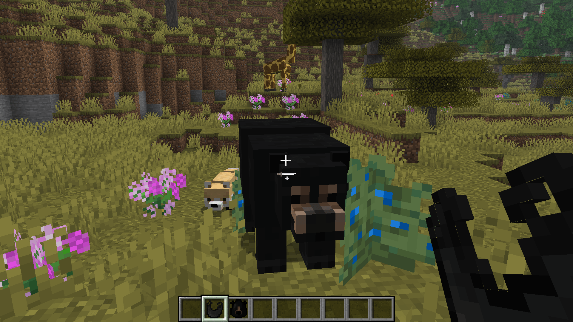 Thumbnail 2026-02-08_03.25.18.png