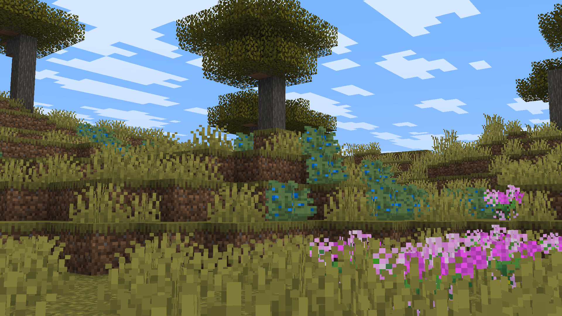 Thumbnail 2026-02-08_03.23.10.png