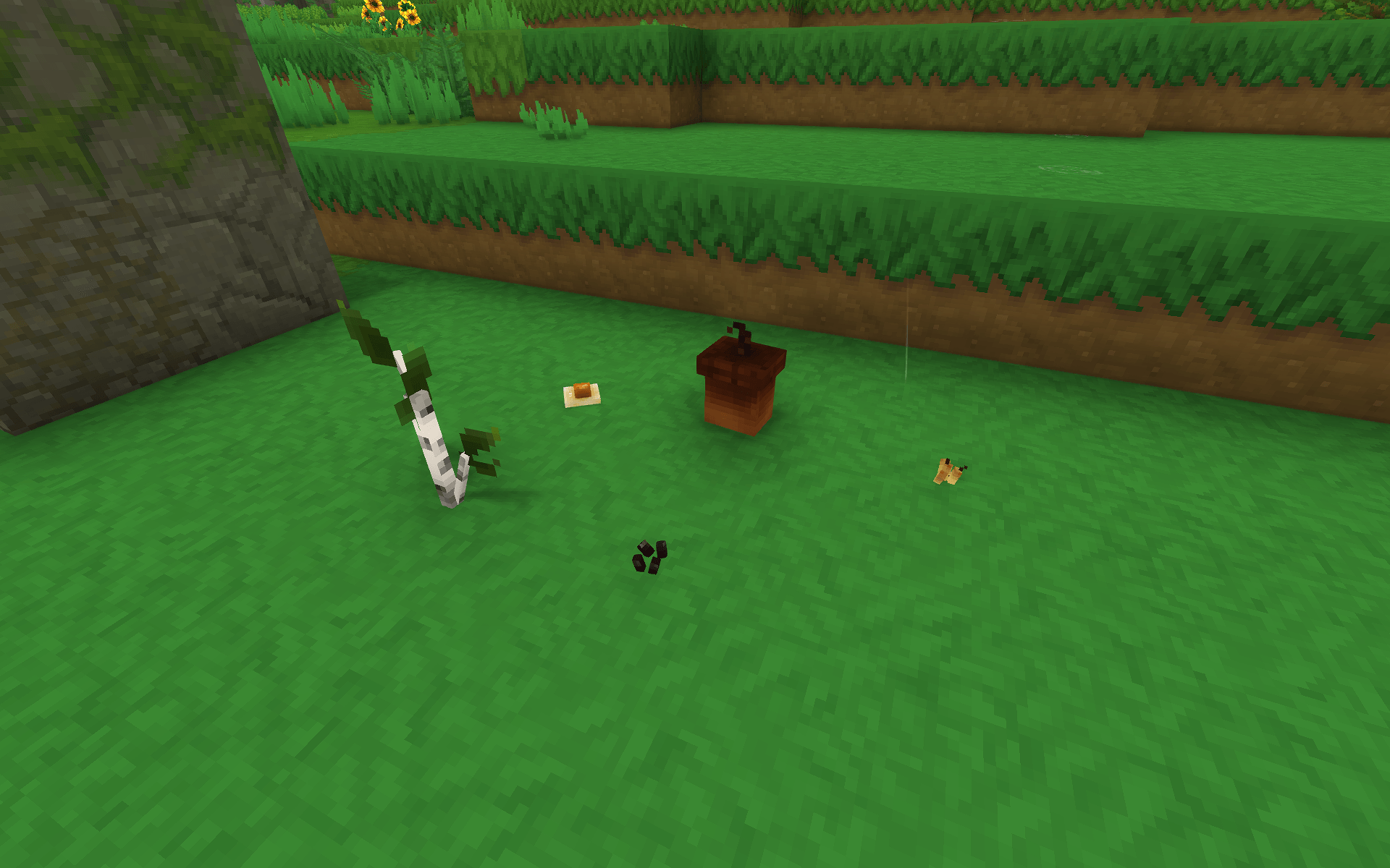 First 5 Items (Acorn, Birch Sprig, Pinenuts, Sunflower seeds, and fried egg)