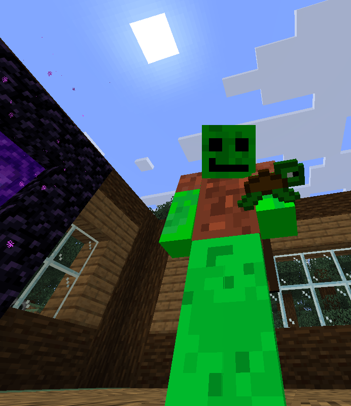 The new Turtle Totem being held by a player