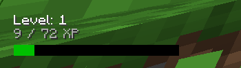 Shows level and xp of the current time.