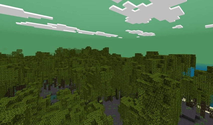 Mangrove Swamp