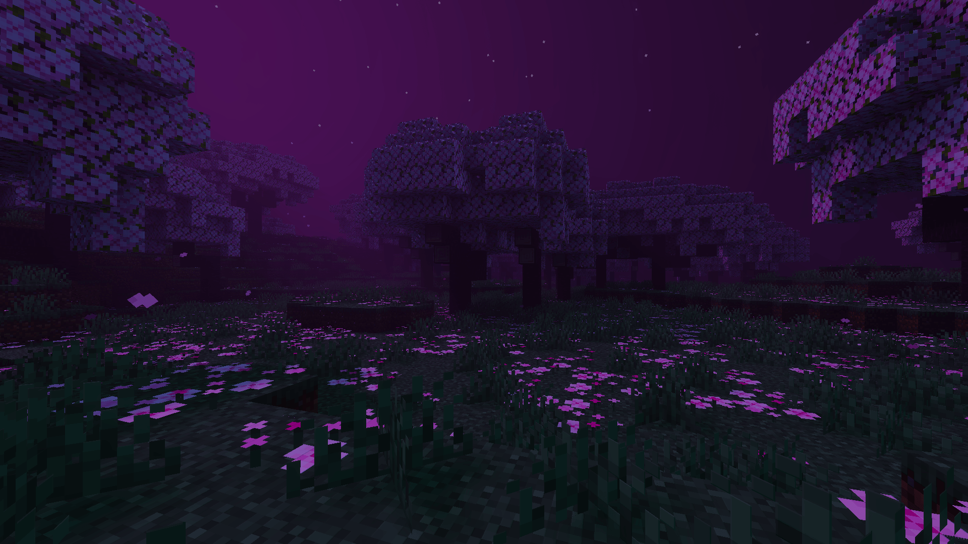 Screenshot 2026-02-10 184336.png