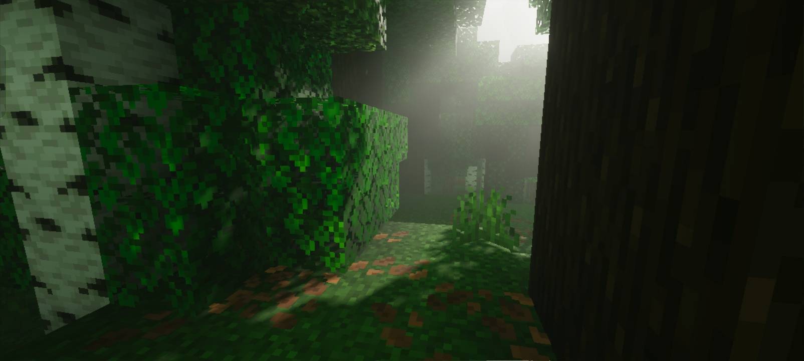 Thumbnail The image shows the improved volumetric fog in version 0.2.0 inside a dark forest.