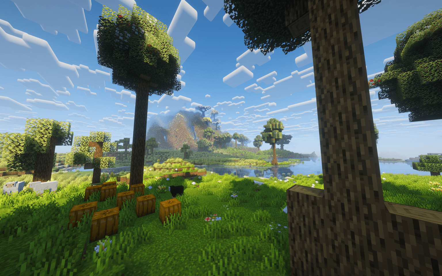 Thumbnail 2025-11-05_21.17.15.png