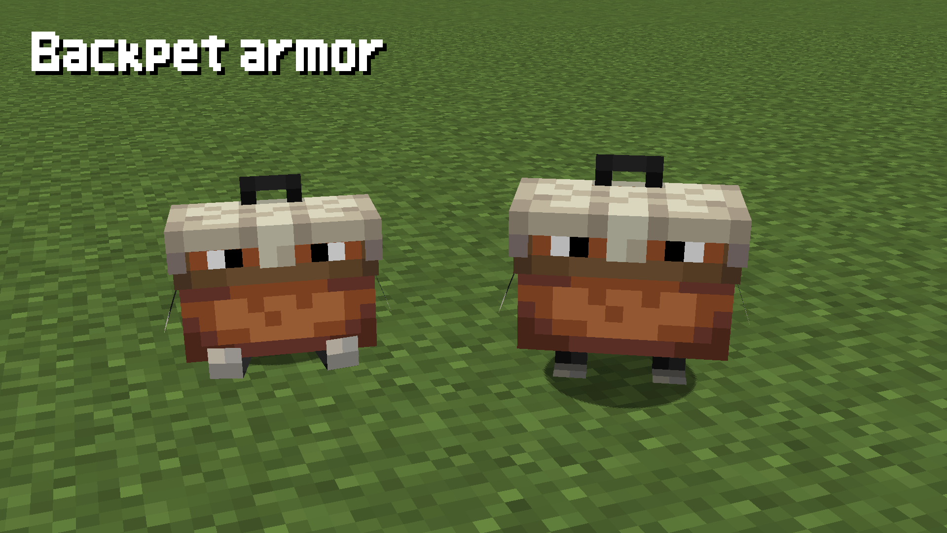 backpets_2.png