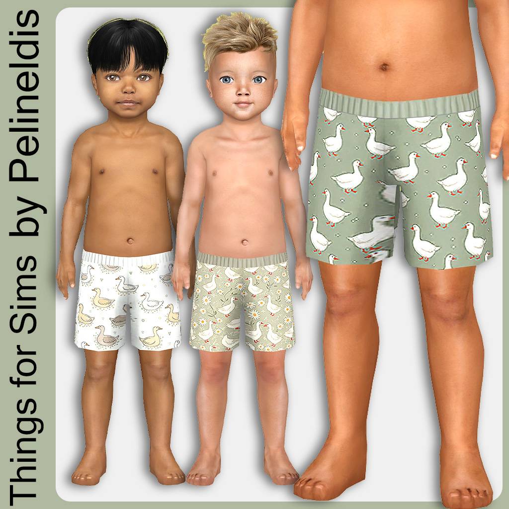 TFSCF25158TGooseSwimshortsBG1.jpg