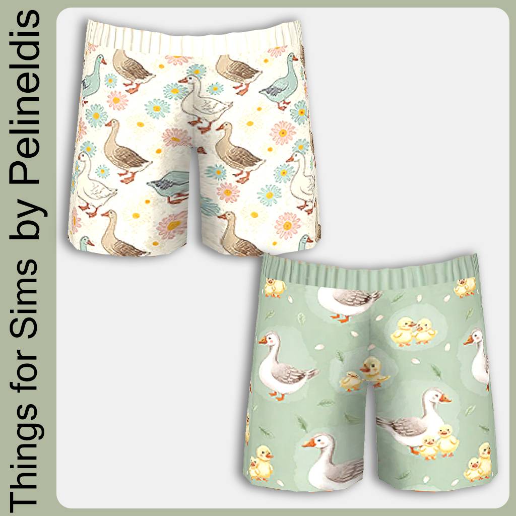 TFSCF25158TGooseSwimshortsBG2.jpg