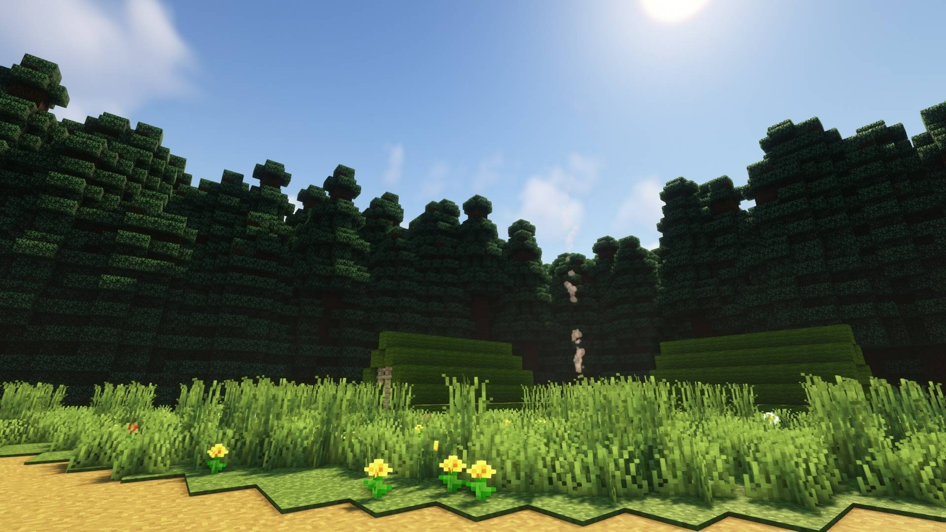 Thumbnail 2026-02-05_14_quality_98.jpg