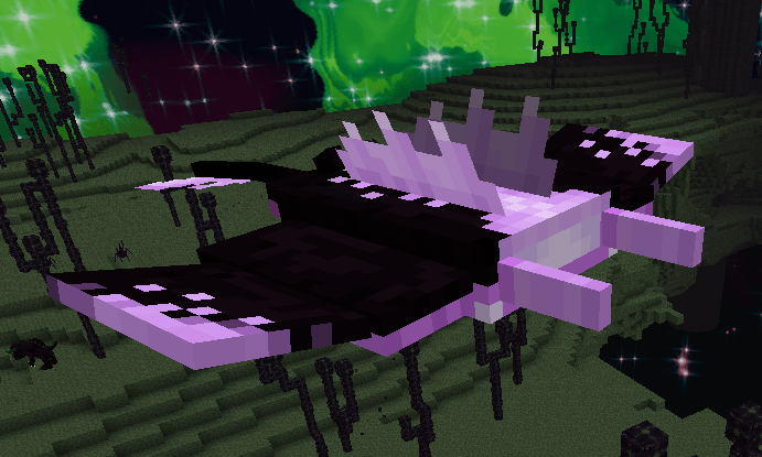 Thumbnail 2026-02-14_16h26_45.png