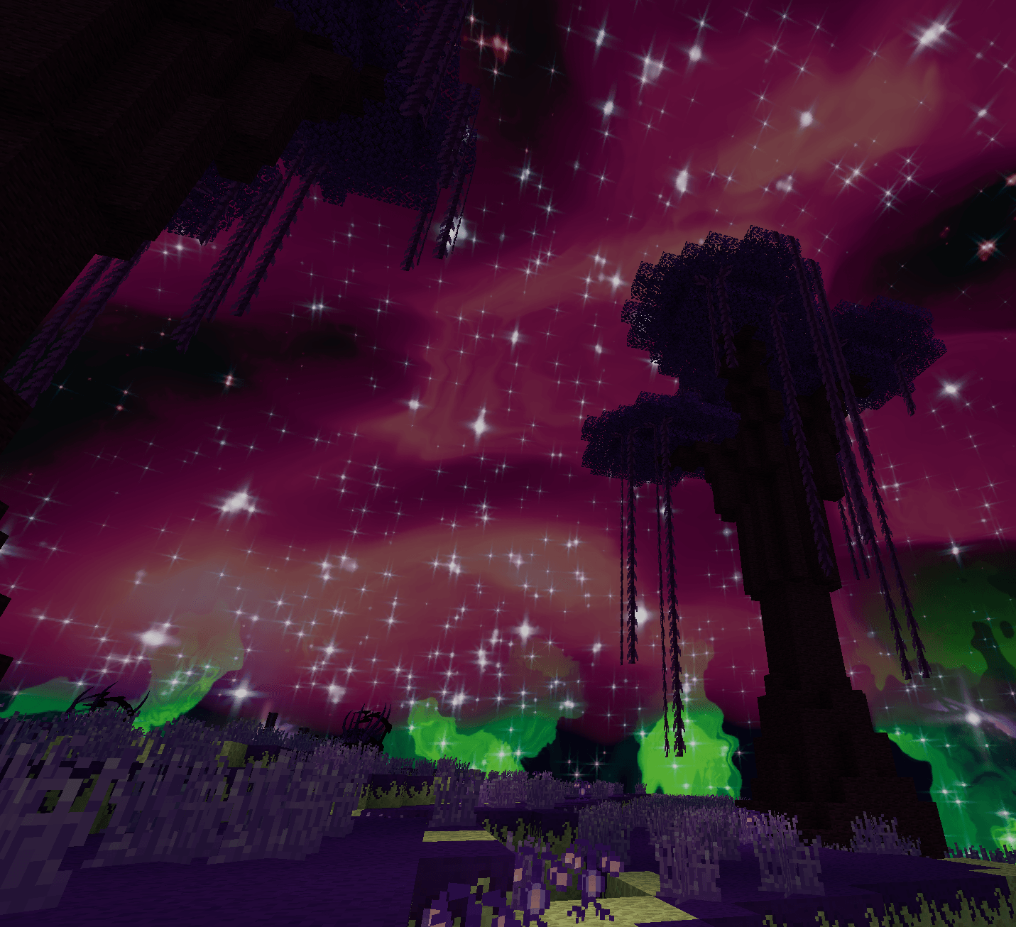 2026-02-14_16h25_45.png