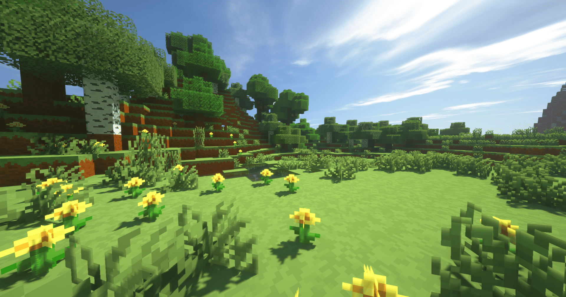 Shader: SEUS Renewed