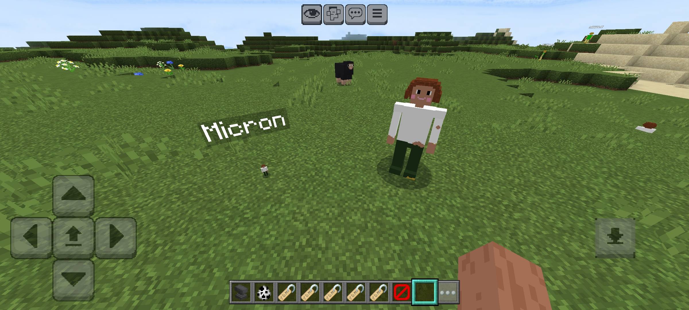 Screenshot_2026-02-15-12-26-12-460_com.mojang.minecraftpe.jpg
