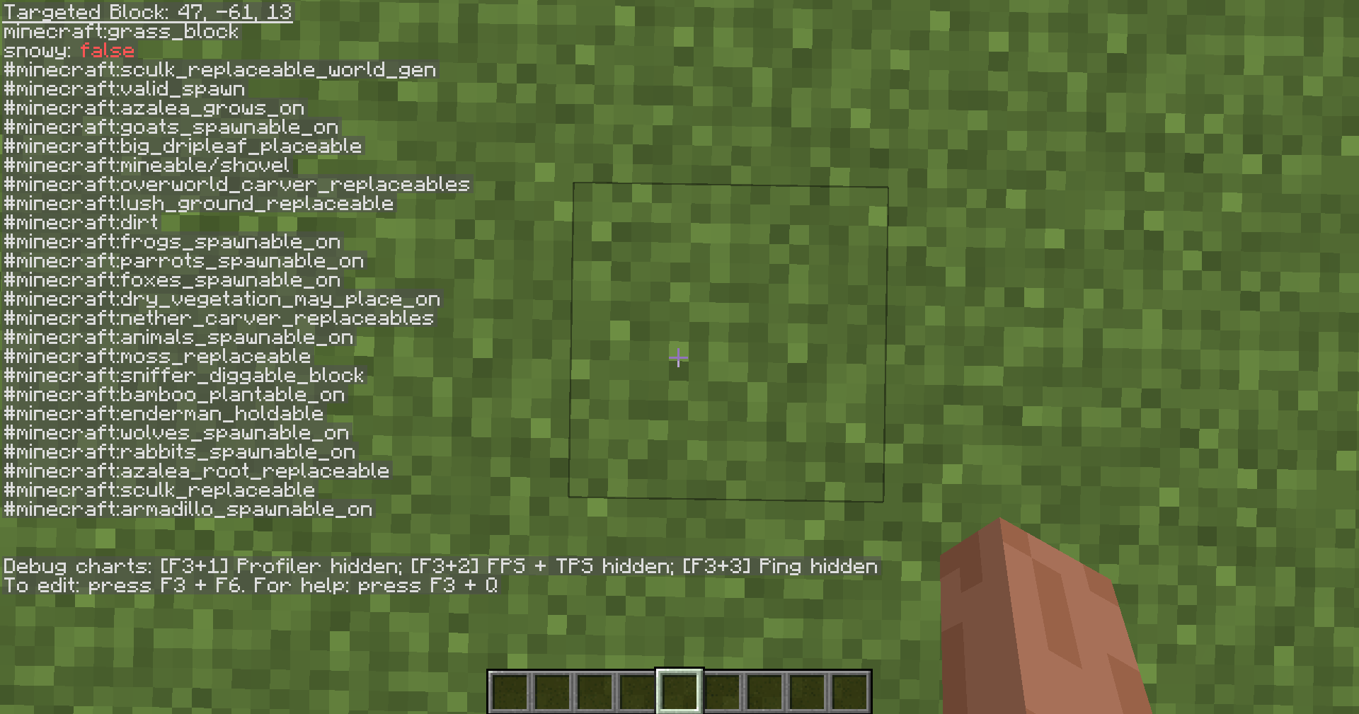 f3 screen with only targeted block shown