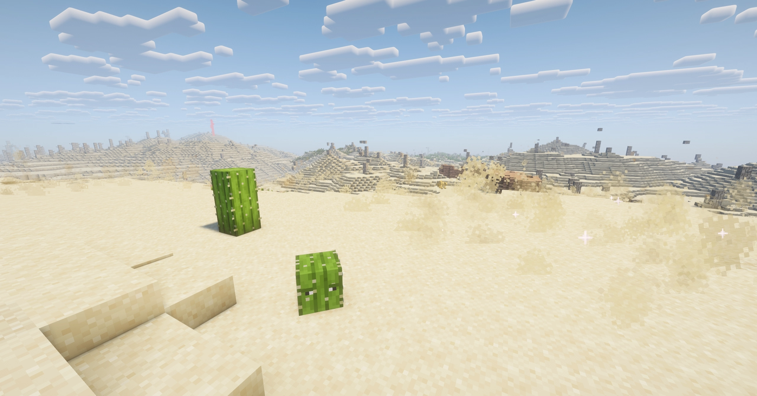 A Rolling Cactus pondering about the meaning of life