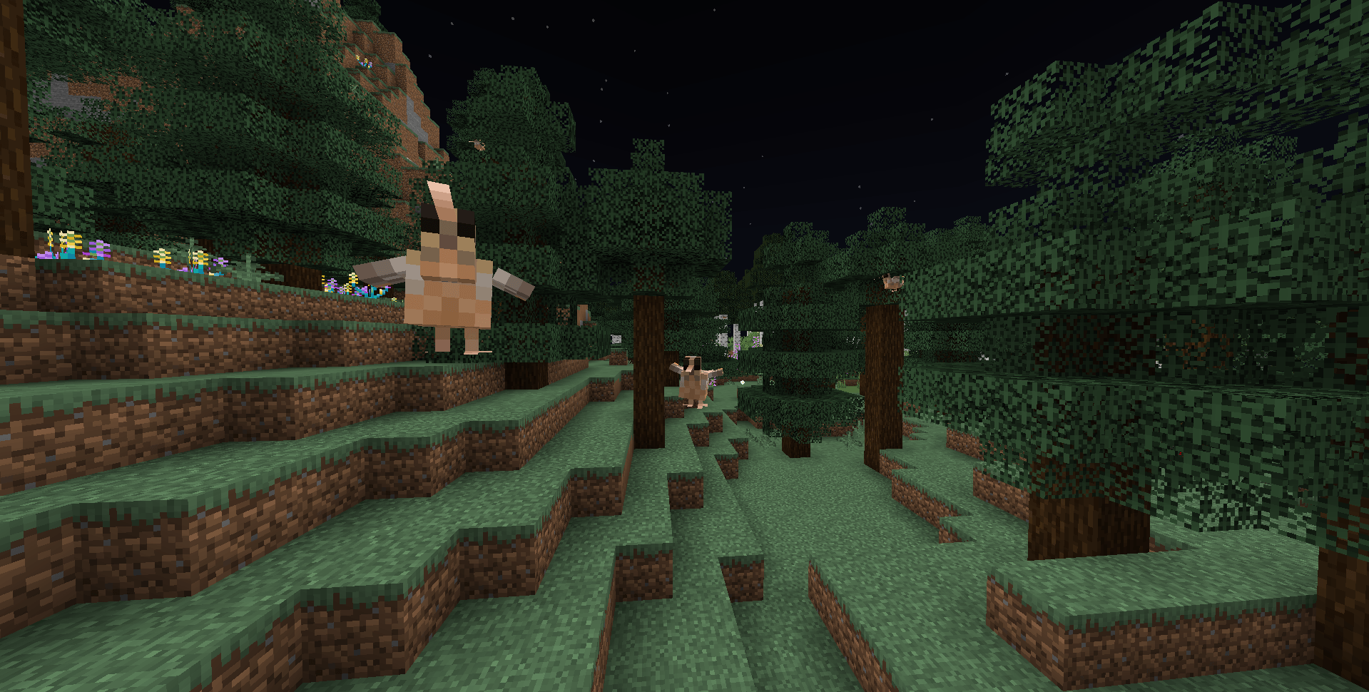 Some woodcock on taiga biomes