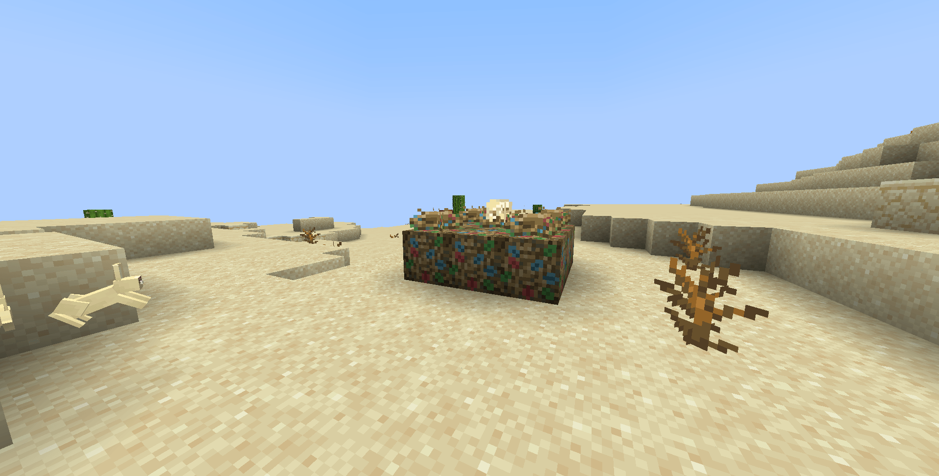 A lost dodo nest on the desert