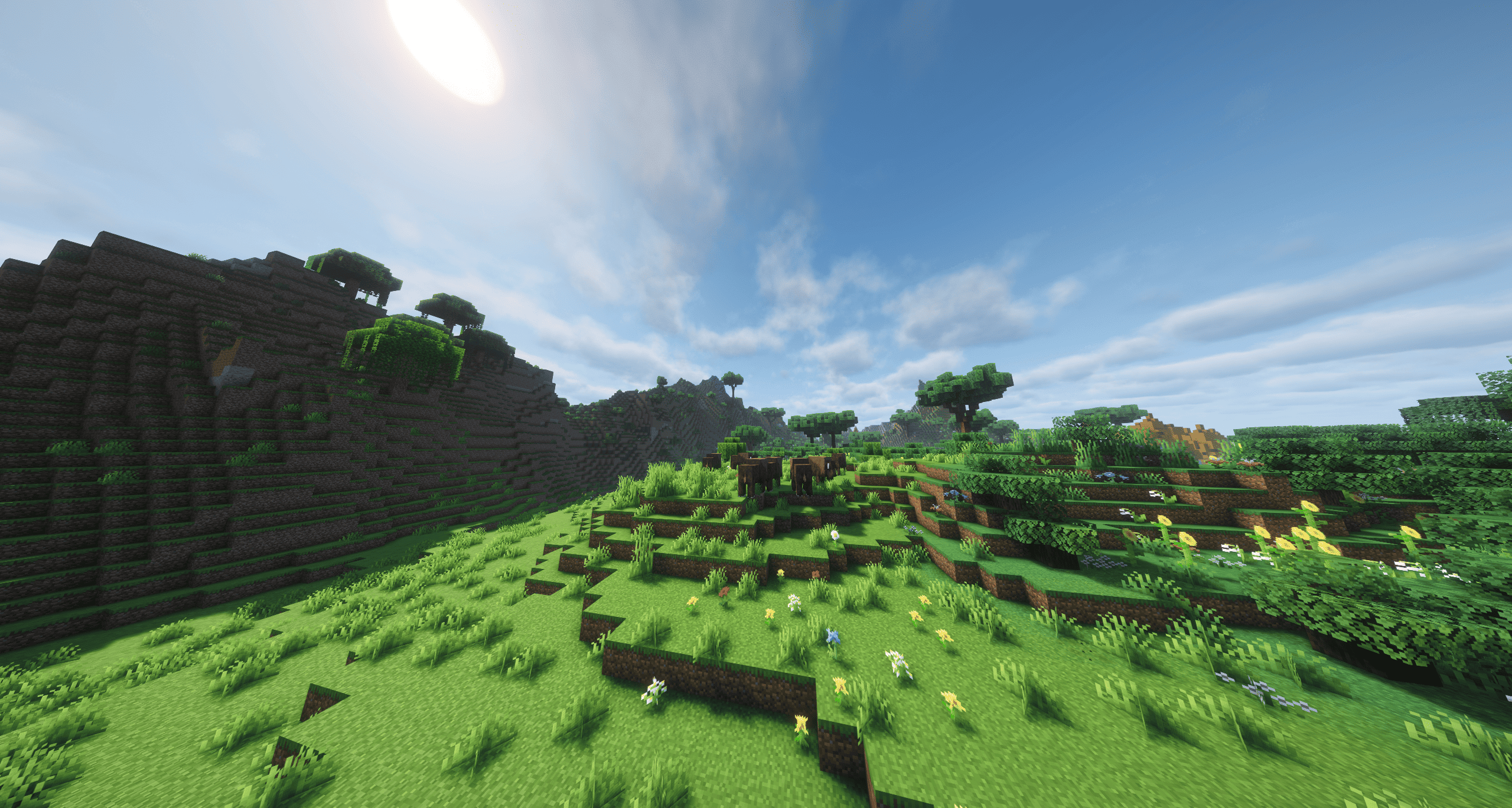 Thumbnail 2026-02-18_20.44.33.png