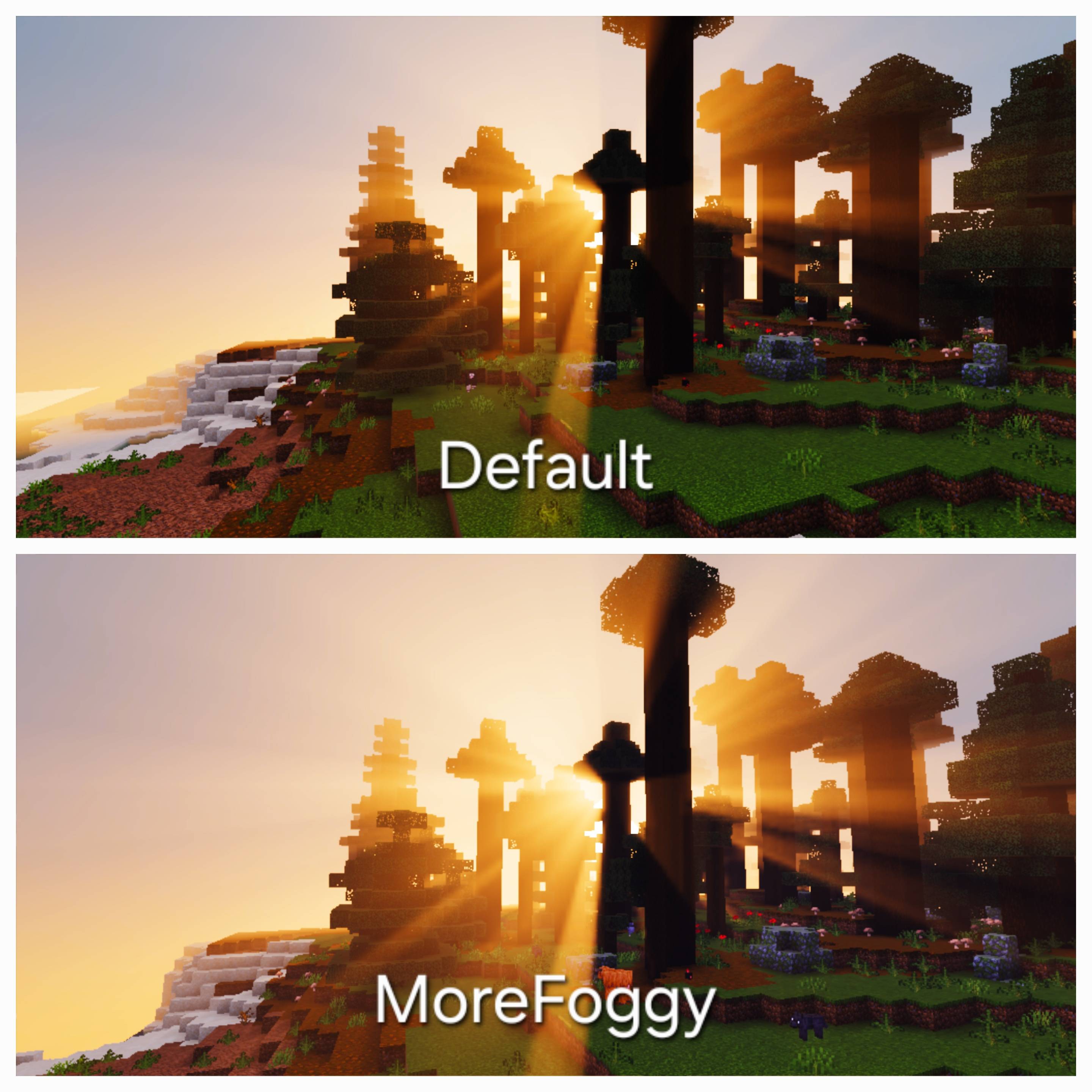 323384.jpg