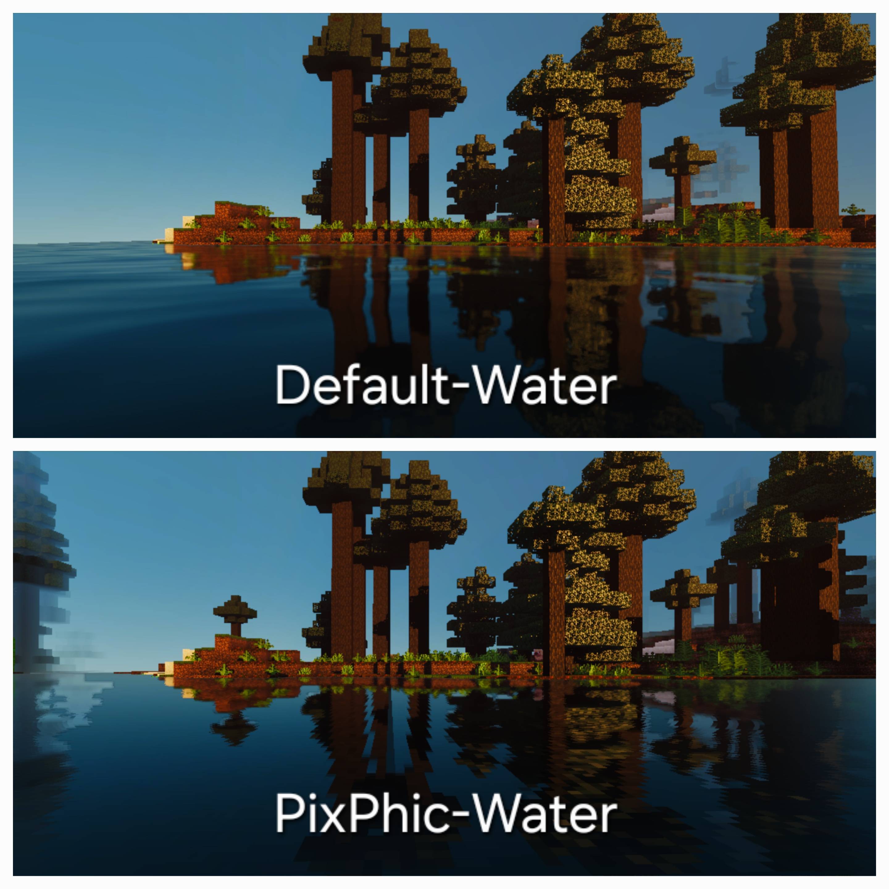 323385.jpg