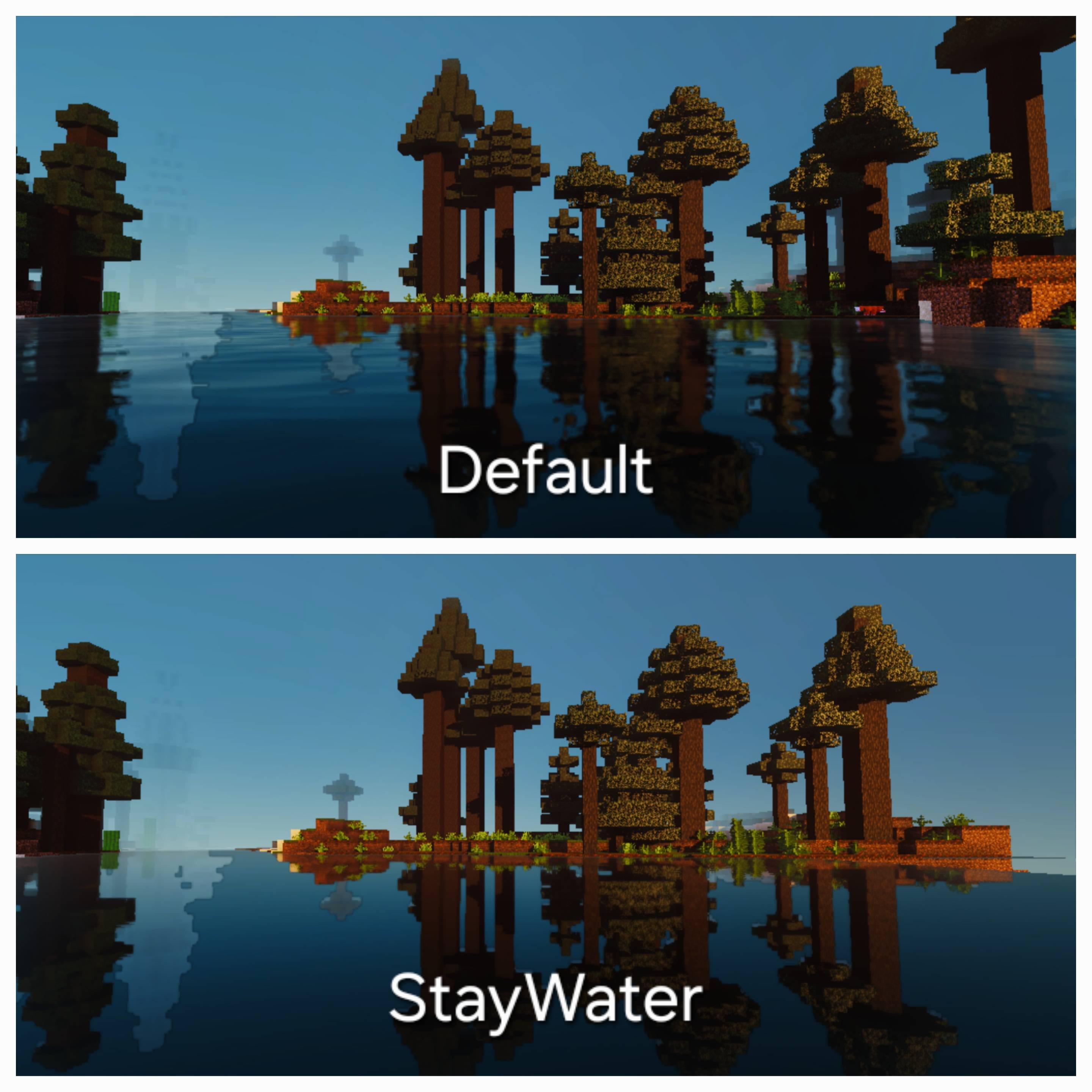 323387.jpg