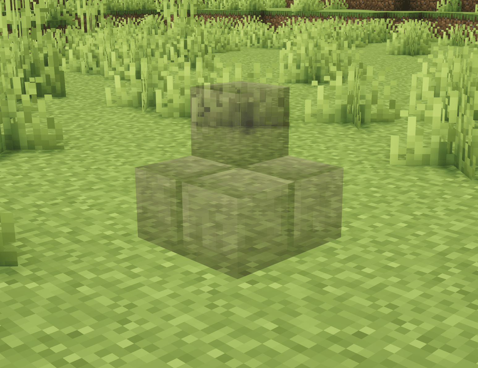 Thumbnail 2026-02-16_10.05.44.png